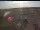 Webcam in Waltham Saint Lawrence, 12.2 mi away