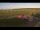 Webcam in Waltham Saint Lawrence, 18 mi away