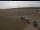 Webcam in Waltham Saint Lawrence, 31.2 mi away