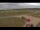 Webcam in Waltham Saint Lawrence, 44.4 km entfernt