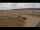Webcam in Waltham Saint Lawrence, 16.8 mi away
