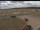 Webcam in Waltham Saint Lawrence, 18.4 mi away