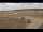 Webcam in Waltham Saint Lawrence, 17.5 mi away