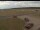 Webcam in Waltham Saint Lawrence, 13.6 mi away