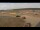 Webcam in Waltham Saint Lawrence, 18.4 mi away