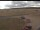 Webcam in Waltham Saint Lawrence, 22.6 km