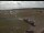 Webcam in Waltham Saint Lawrence, 45.6 km