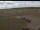 Webcam in Waltham Saint Lawrence, 45.6 km