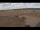 Webcam in Waltham Saint Lawrence, 17.5 mi away