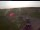 Webcam in Waltham Saint Lawrence, 82.6 km