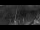 Webcam in Beerfelden, 5.5 mi away