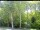 Webcam in Hilversum, 15.2 km entfernt