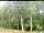 Webcam in Hilversum, 35.7 km
