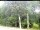 Webcam in Hilversum, 0 km