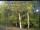 Webcam in Hilversum, 20.7 km entfernt