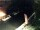 Webcam in Eldenburg, 1.5 mi away