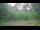 Webcam in Tustin, Michigan, 209.4 km