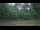 Webcam in Tustin, Michigan, 49.5 mi away
