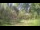 Webcam in Tustin, Michigan, 41.4 mi away