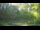 Webcam in Tustin, Michigan, 65.6 mi away