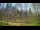 Webcam in Tustin, Michigan, 80.8 mi away