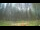 Webcam in Tustin, Michigan, 131.5 km entfernt