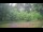 Webcam in Tustin, Michigan, 80.8 mi away