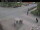 Webcam in Jõgeva, 47.7 mi away