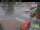 Webcam in Jõgeva, 254.6 km