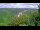 Webcam in Kuranda, 16.7 mi away
