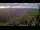 Webcam in Kuranda, 43.2 km