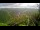 Webcam in Kuranda, 296.4 km