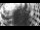 Webcam in Poperinge, 62.3 km