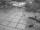 Webcam in Bad Zwischenahn, 16.7 mi away