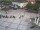 Webcam in Bad Zwischenahn, 9.4 km entfernt