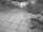 Webcam in Bad Zwischenahn, 5.7 mi away