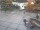Webcam in Bad Zwischenahn, 9.9 mi away