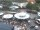 Webcam in Bad Zwischenahn, 0.2 mi away