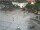 Webcam in Bad Zwischenahn, 16.4 mi away