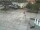 Webcam in Bad Zwischenahn, 53.1 km