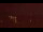 Webcam in Richmond, Virginia, 90.5 km