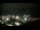 Webcam in Arlington, Virginia, 7.7 mi away