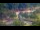 Webcam in Arlington, Virginia, 5.2 mi away