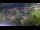Webcam in Arlington, Virginie, 32.5 km