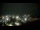 Webcam in Arlington, Virginia, 7.3 mi away