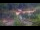 Webcam in Arlington, Virginia, 7.1 mi away