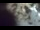Webcam in Buchanan, Virginia, 23.6 mi away