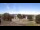 Webcam in Wilkes-Barre, Pennsylvania, 97.3 km