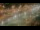 Webcam al Canale di Panamá, 415.9 km