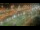 Webcam at the Panama Canal, 465.2 mi away